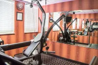 斷箭-土薩凱藝酒店 - 健身室/gym room