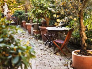 Garden Boutique Hotel Berlin - Mitte