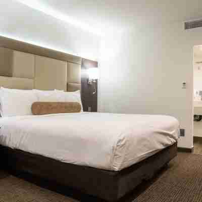 Hotel Xilo Glendale Rooms