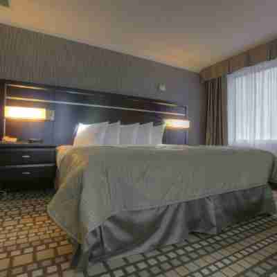 Clarion Hotel and Suites Others