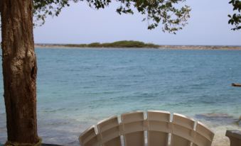 Coral Reef Beach