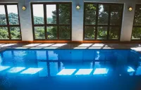Hotel Meissner Hof Hôtels à : Monte Verde