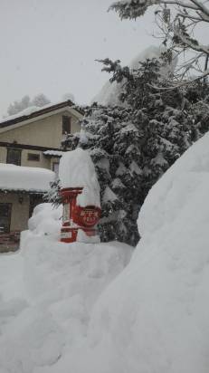 咲花山荘 白馬 を宿泊予約 22年安い料金プラン 口コミ 部屋写真 Trip Com