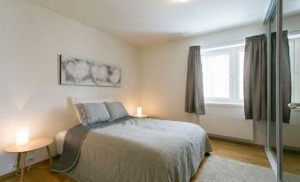 Self Catering Apartment Bratsberg Brygge