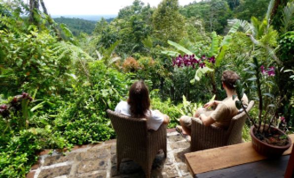 Sarinbuana Eco Lodge