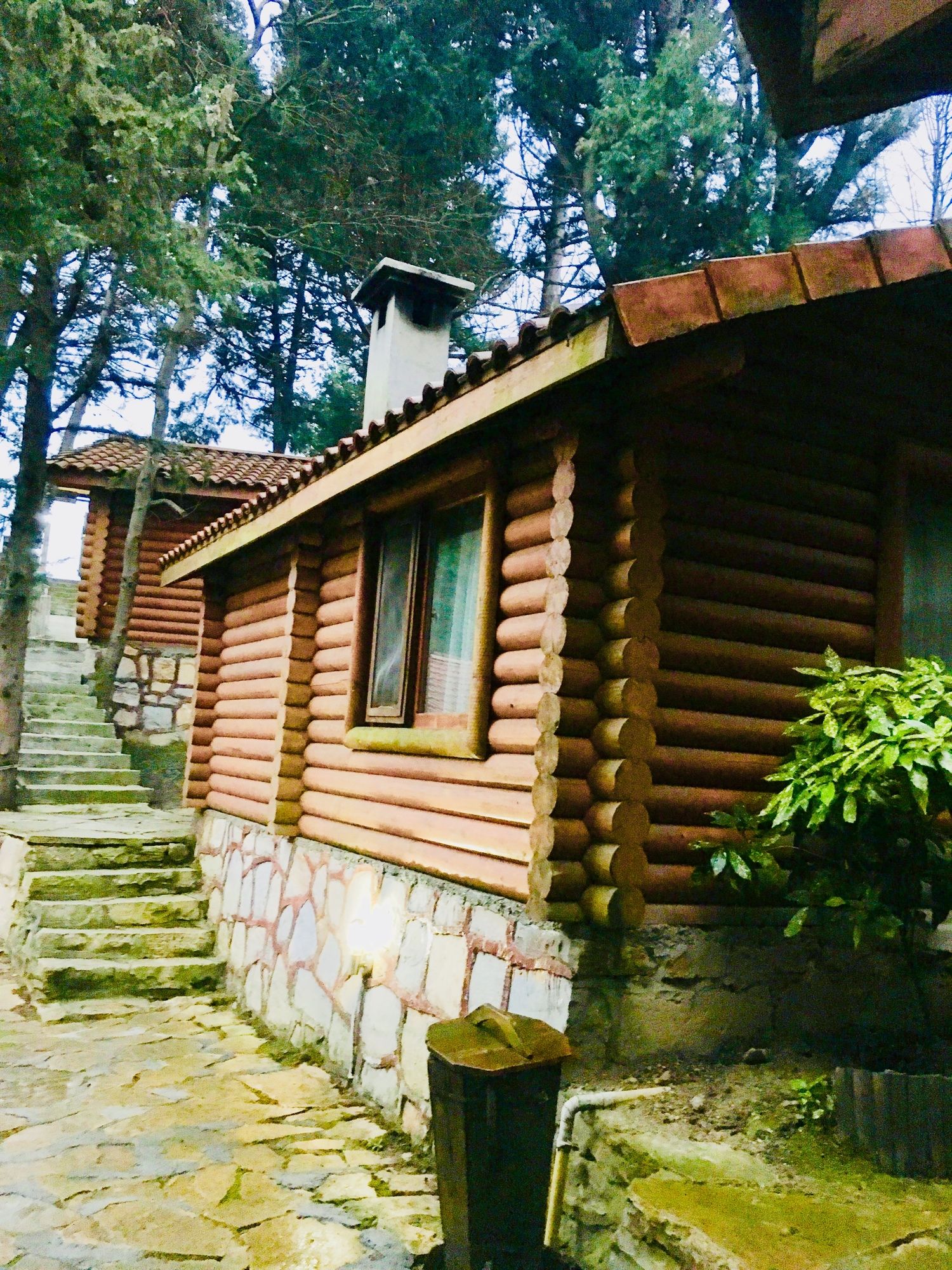 Ağva Orman Evleri Forest Lodge (Agva Orman Evleri Forest Lodge)