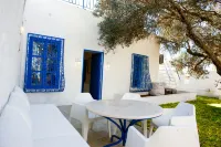 حدائق المنارة من سيدي بو سعيد