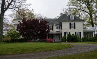 a large white house with black shutters is surrounded by a grassy yard and trees at Woodville Bed and Breakfast