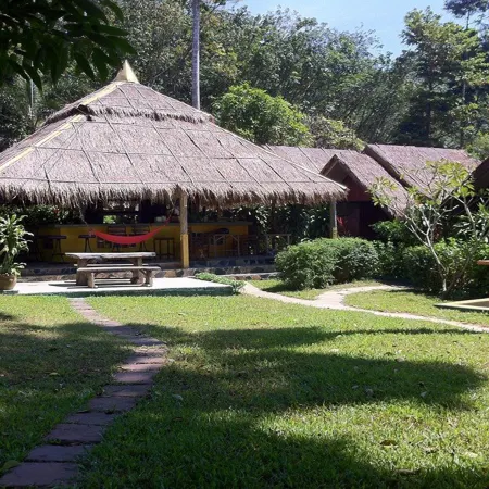 Grand Tree Resort