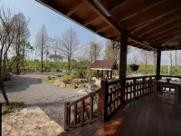 North Zart Hotels near Spring Onion Museum