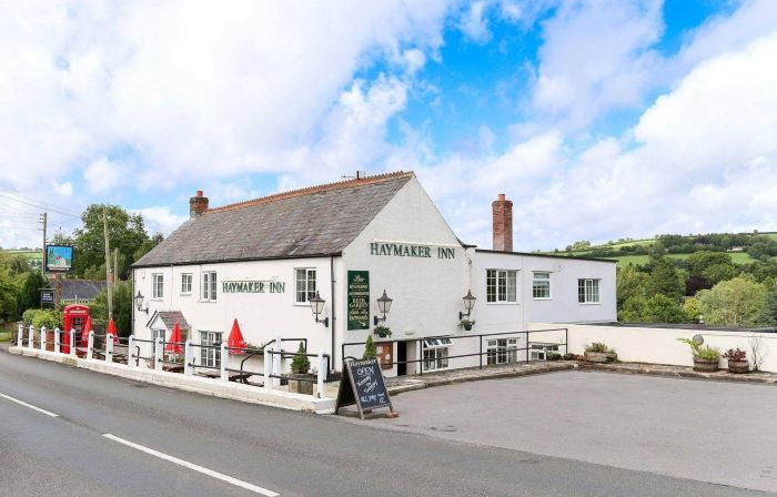The Haymaker Inn