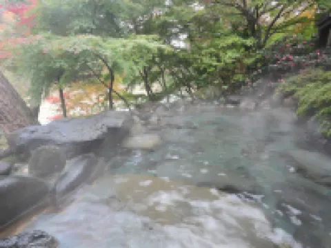 鬼怒川温泉花之宿松屋日式旅館 日光市酒店