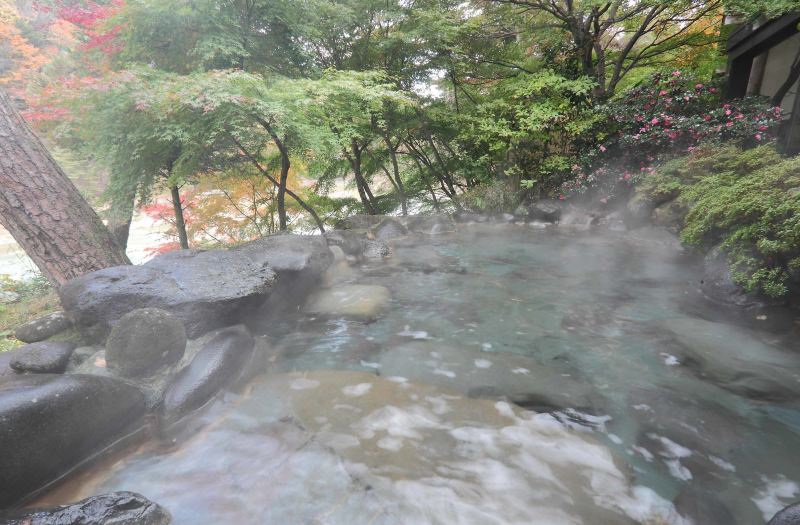 Kinugawa Onsen Hana No Yado Matsuya photo 2
