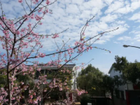 ซานยี่ แฮปปิเนส เบด แอนด์ เบรคฟาสต์ โรงแรมในเหมียวหลี่