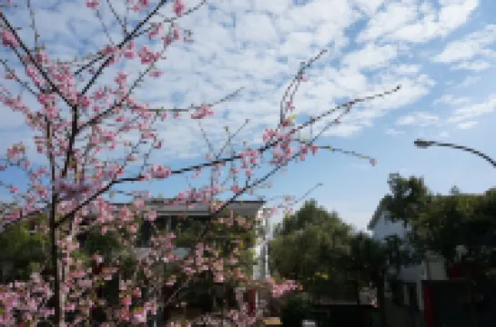 Sanyi Happiness Bed and Breakfasts