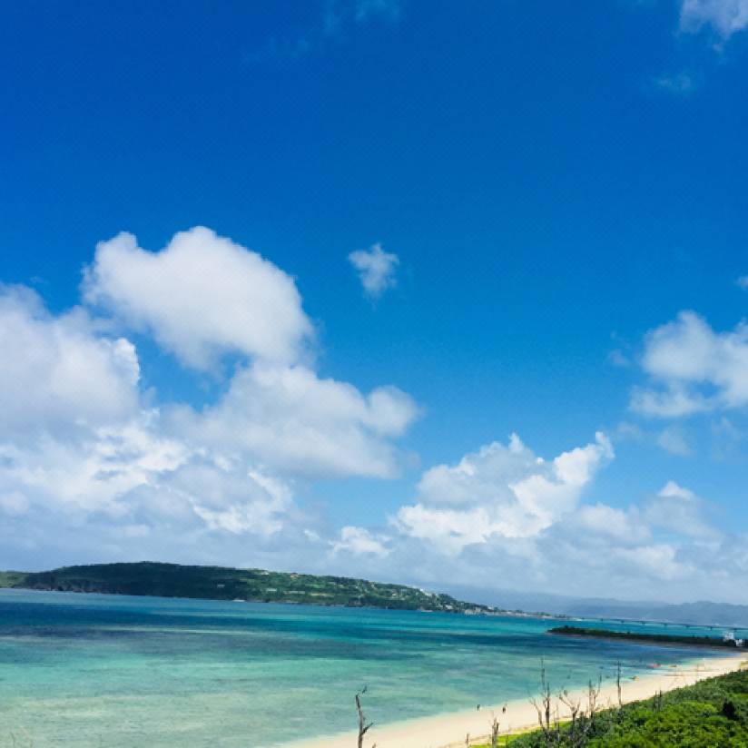 Okinawa q Beer Garden Campsite Nakijin Updated 22 Room Price Reviews Deals Trip Com