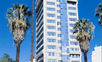 a tall building with a sign on top is surrounded by palm trees and other plants at Hotel Diplomat