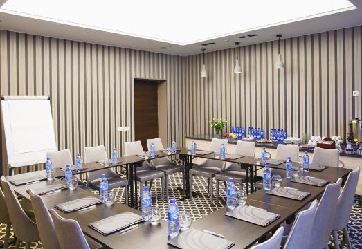 아트 호텔 소스노비에츠