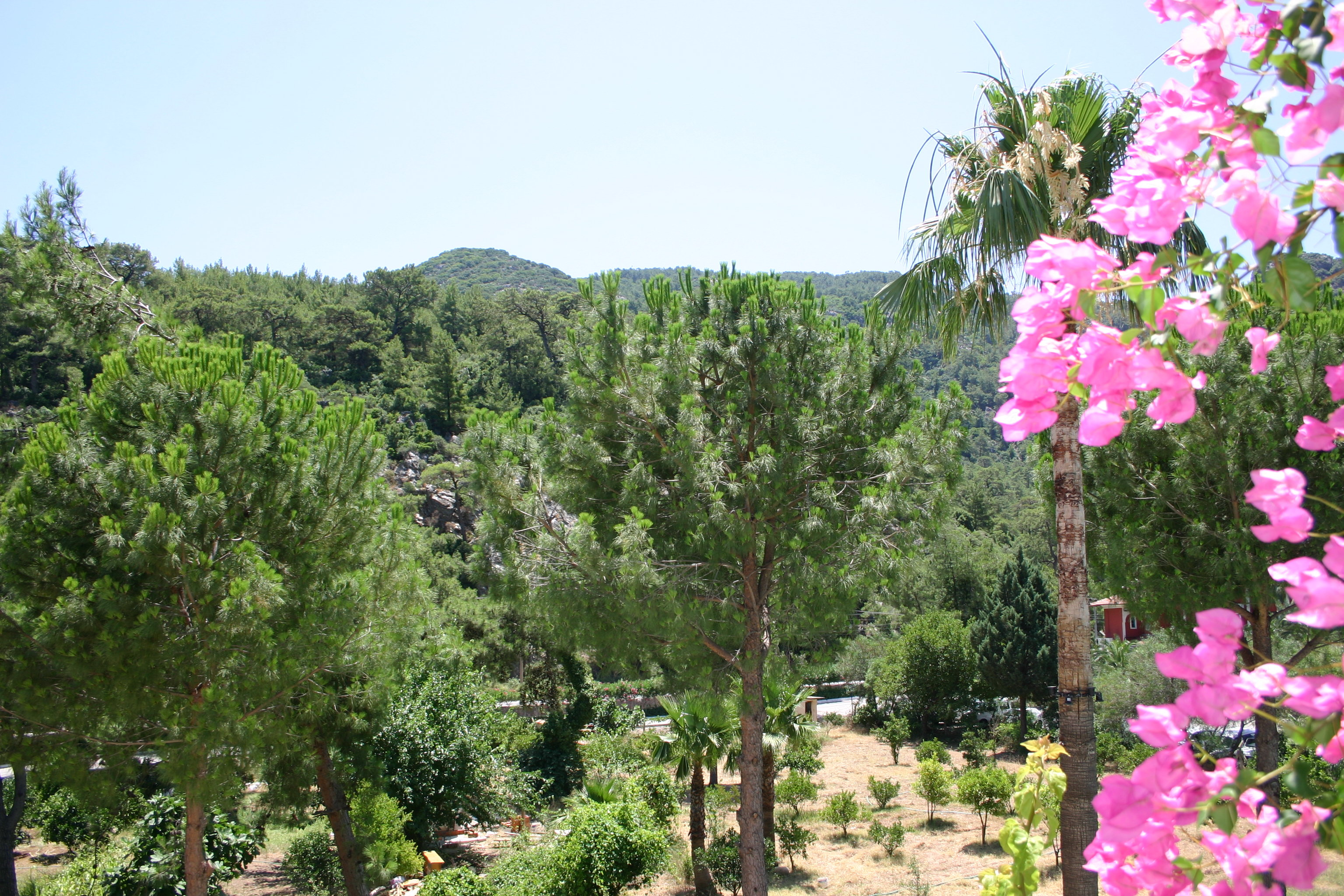 Petunya Konak Boutique Hotel