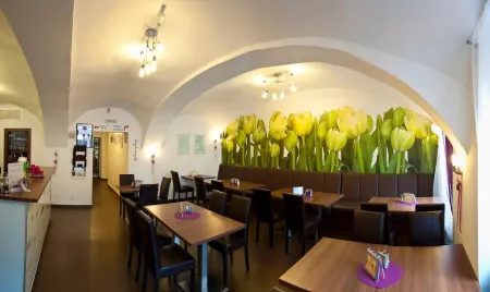 Hotel Berger Отели в г. Йиндржихув-Градец