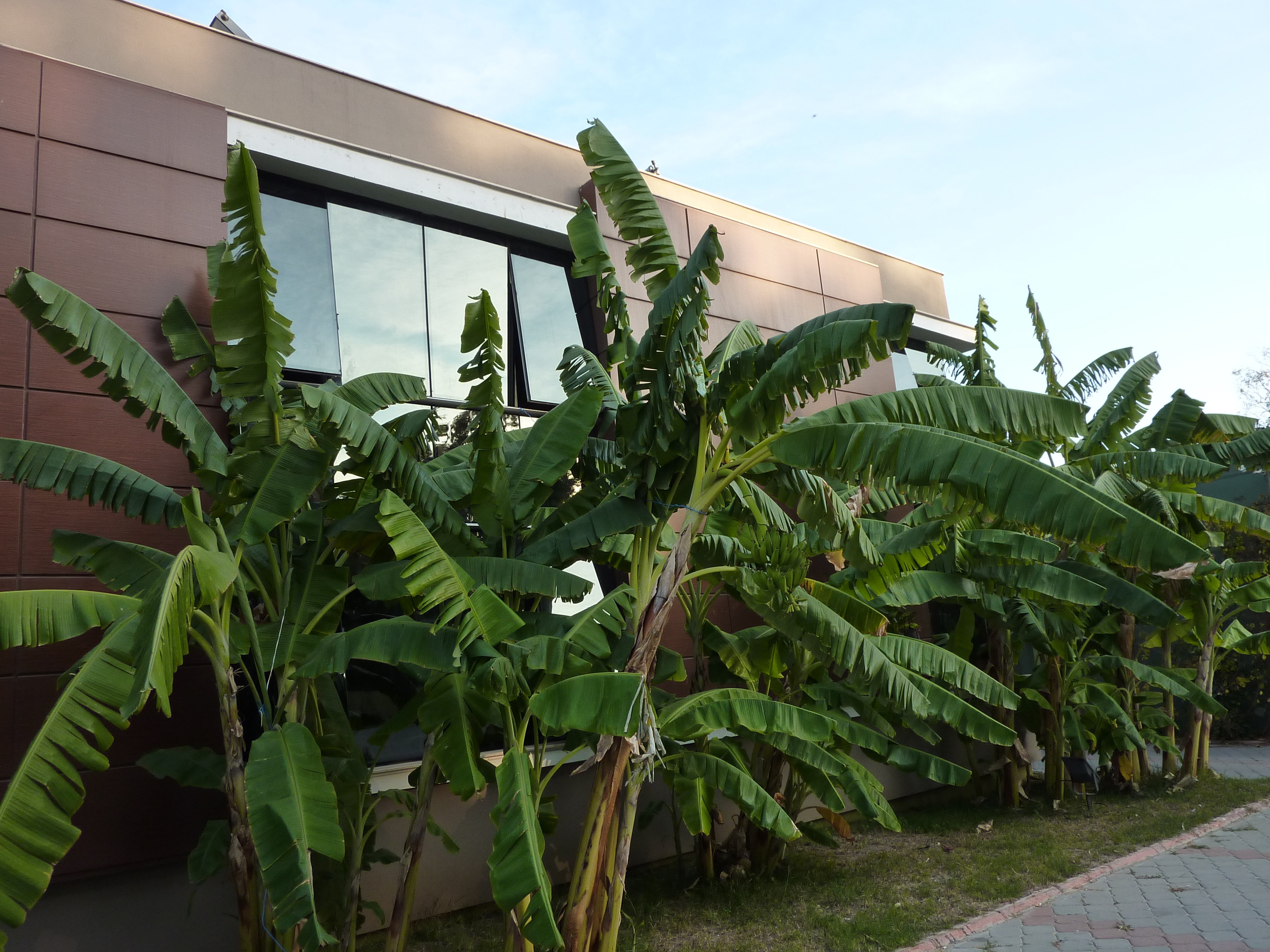 Çetinel Tesisleri Hotel