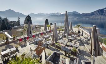 Alpenblick Weggis - Panorama & Alpen Chic Hotel