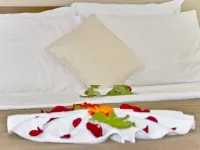 Tümay Hotel ビテツのホテル
