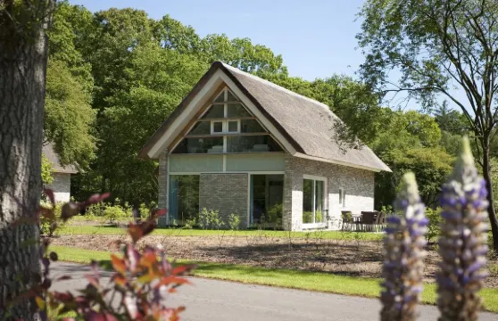 蘇米奧魯伊嫩市場莊園外部