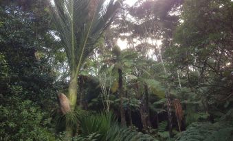 The Coromandel Treehouse