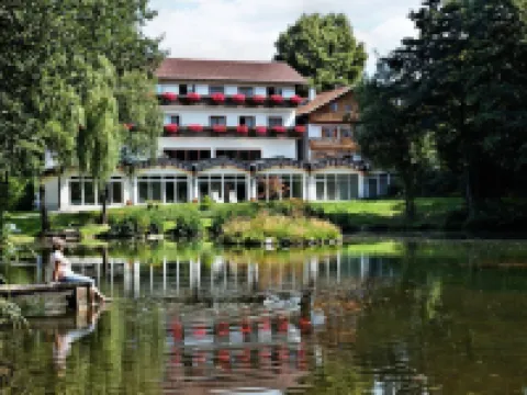 Hotel Zum Hirschen Hotels in Lam