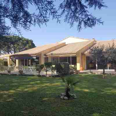 Logis Hotel Restaurant Le Mas de l'Olivier Hotel Exterior