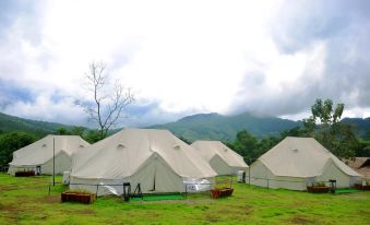 a large group of beige tents are set up in a grassy field , with mountains in the background at Chiangkhan River Green Hill