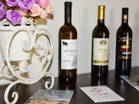 Eleon Boutique Hotel Hotels in Tbilisi