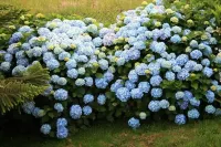 Hotel Foronda Hotels in Ribadesella