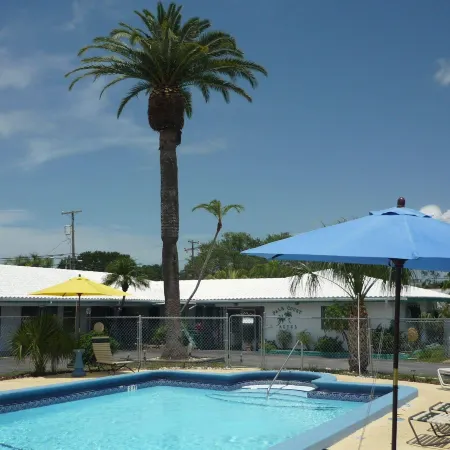 Palm Court Motel Отели в г. Данедин