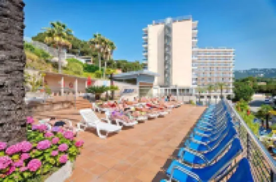 Hotel Oasis Park Splash