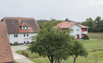 Gasthaus-Pension Hofmann