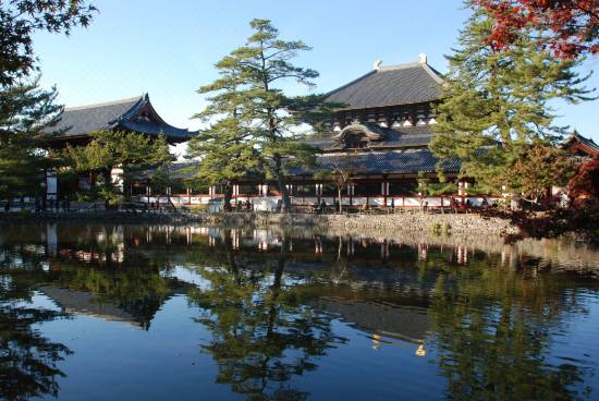 さるさわ池 よしだや 奈良 宿泊予約 安い料金プラン 口コミ 部屋写真 Trip Com