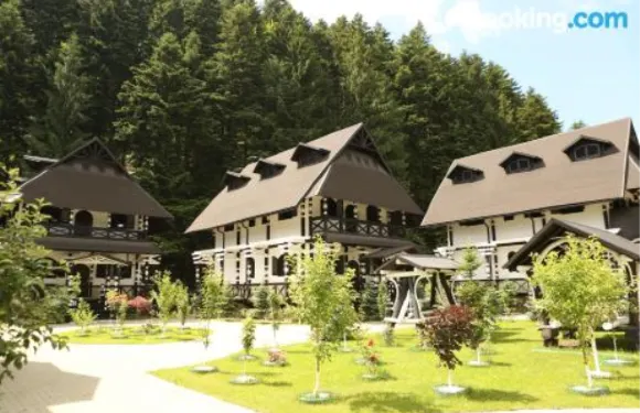 布洛維納獅子綜合旅館