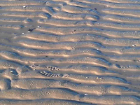 Hotel Schwarzer Adler Jever Hotels in Jever