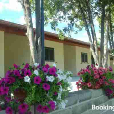 Samarcanda Hotel & Parking di Parmigiani Silvia Hotel Exterior