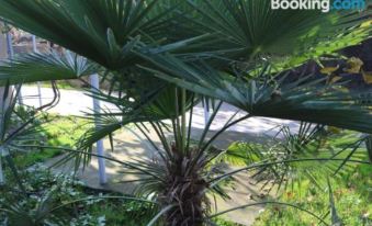 Guesthouse Vashlovani