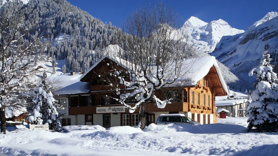 Hotel Alpina