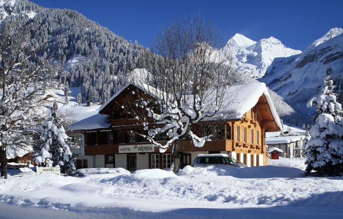 Hotel Alpina