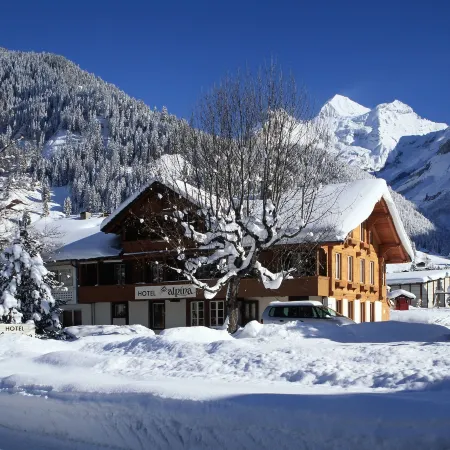 Hotel Alpina