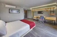 萬豪城市快捷酒店 墨西哥城拉維拉 - Wi-Fi