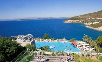 a beautiful outdoor pool area with a view of the sea , surrounded by lush greenery and a clear blue sky at Duja Bodrum