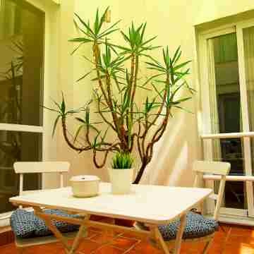 Dream Suites & Apartments Almeria Centro Others