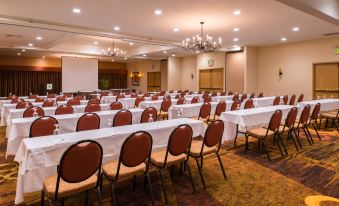 Holiday Inn Dublin - Pleasanton, an IHG Hotel