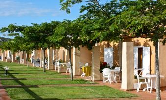 a row of chairs and tables are lined up under trees in a grassy area at MClub Marmorata